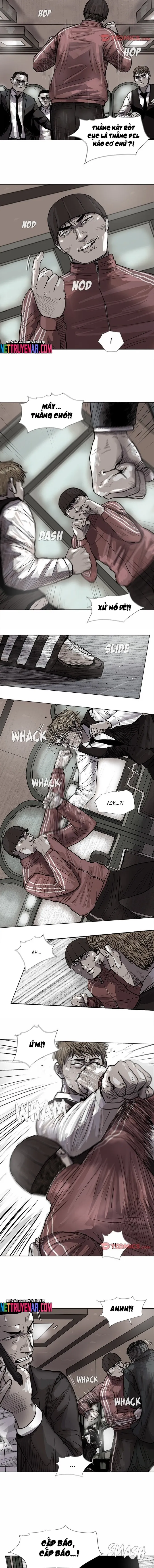 Miền Đất Xanh Chapter 40 - 8