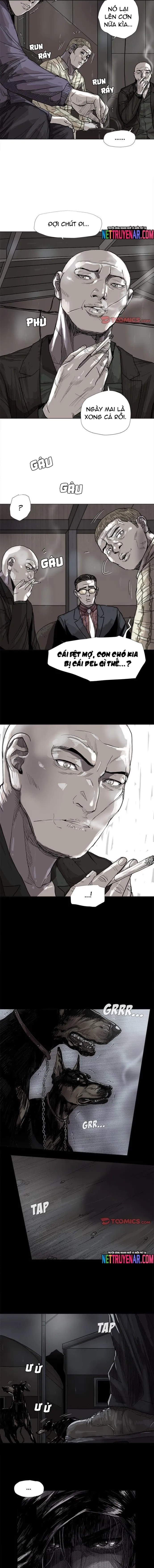 Miền Đất Xanh Chapter 45 - 8