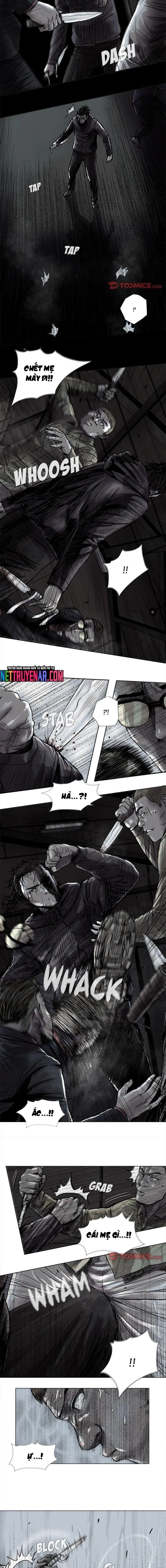 Miền Đất Xanh Chapter 46 - 6