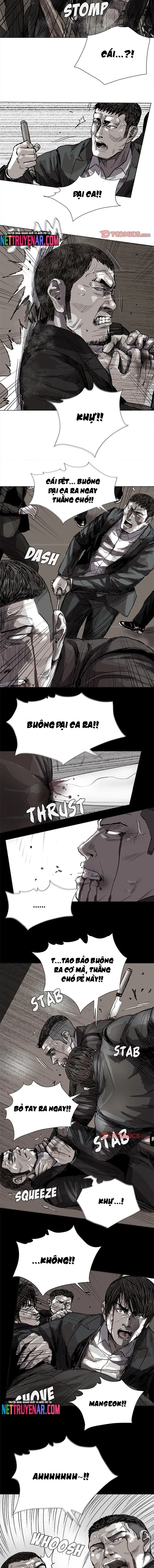 Miền Đất Xanh Chapter 59 - 5