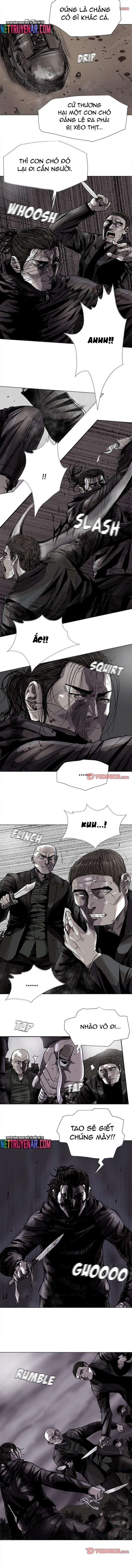 Miền Đất Xanh Chapter 85 - 5