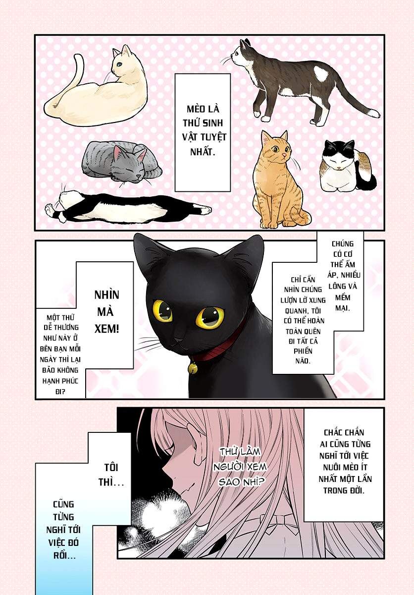 Mii-Chan Muốn Được Nhận Nuôi! Chapter 1 - 2