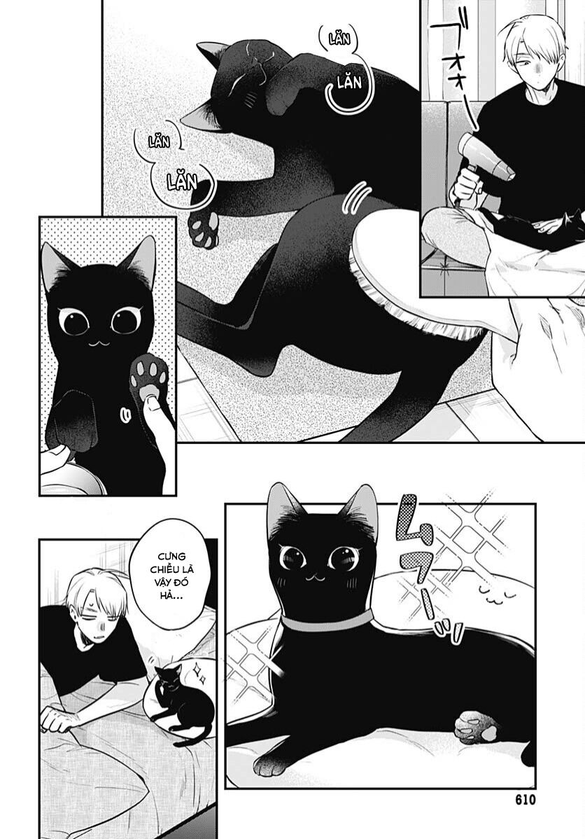 Mii-Chan Muốn Được Nhận Nuôi! Chapter 20 - 24