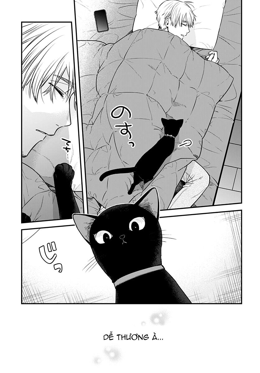 Mii-Chan Muốn Được Nhận Nuôi! Chapter 5 - 8