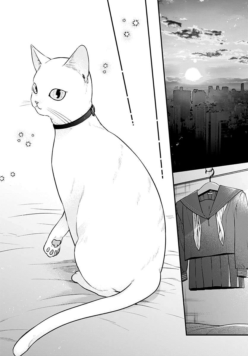 Mii-Chan Muốn Được Nhận Nuôi! Chapter 8 - 29