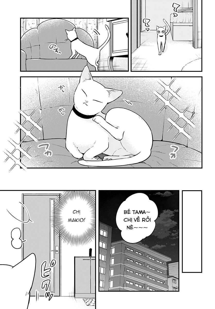 Mii-Chan Muốn Được Nhận Nuôi! Chapter 8 - 30