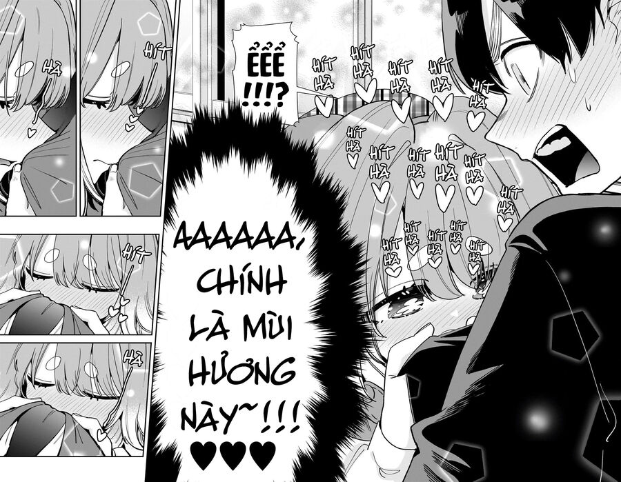 100 Cô Bạn Gái Này Rất, Rất, Rất, Rất, Rất Là Yêu Tôi Đó Chapter 204 - 17