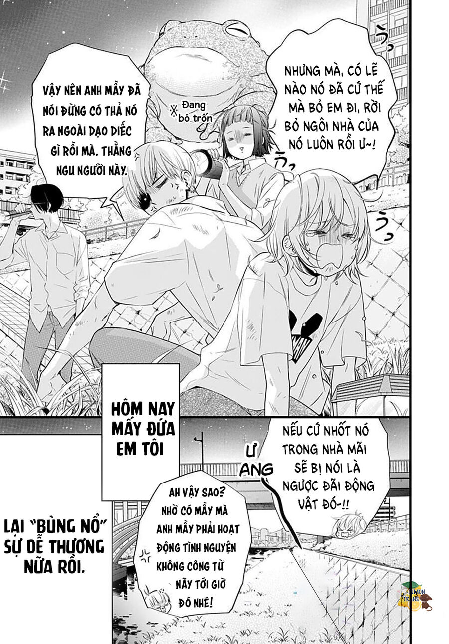 Xin Lỗi Nhé Mấy Đứa Em Của Tôi. Chapter 7 - 4