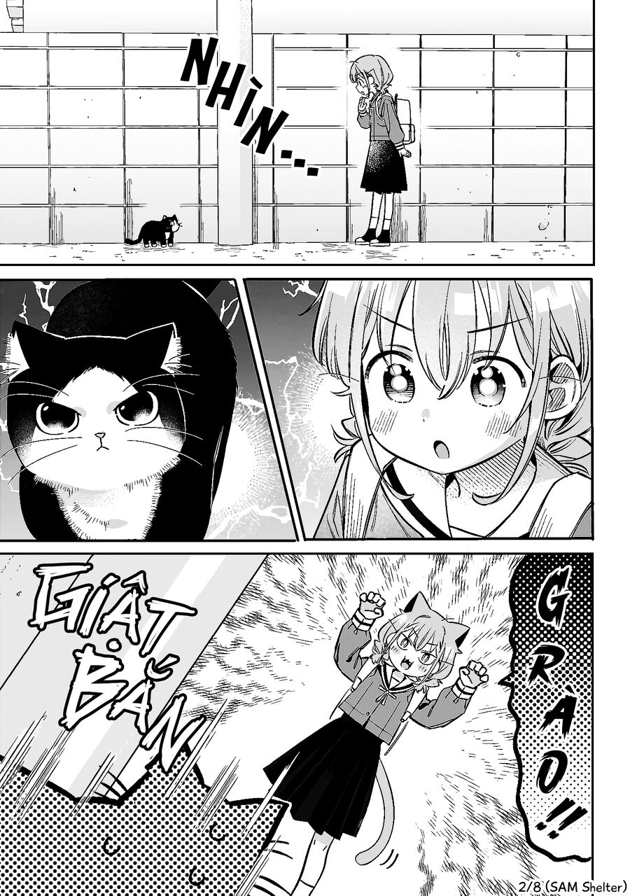 Không Phải Cậu Đâu, Miyahara! Chapter 9.5 - 2