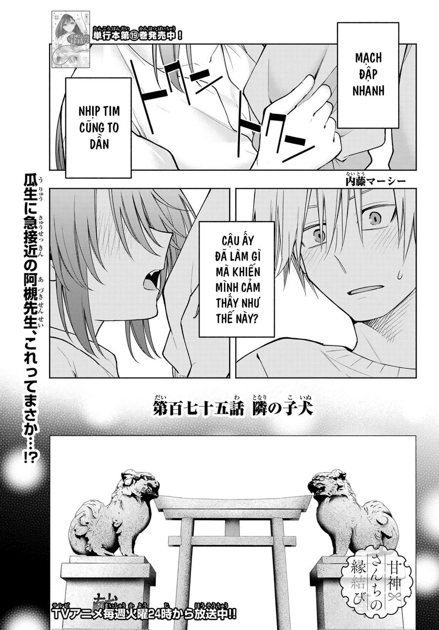 Kết Duyên Nhà Kamigami Chapter 175 - 2