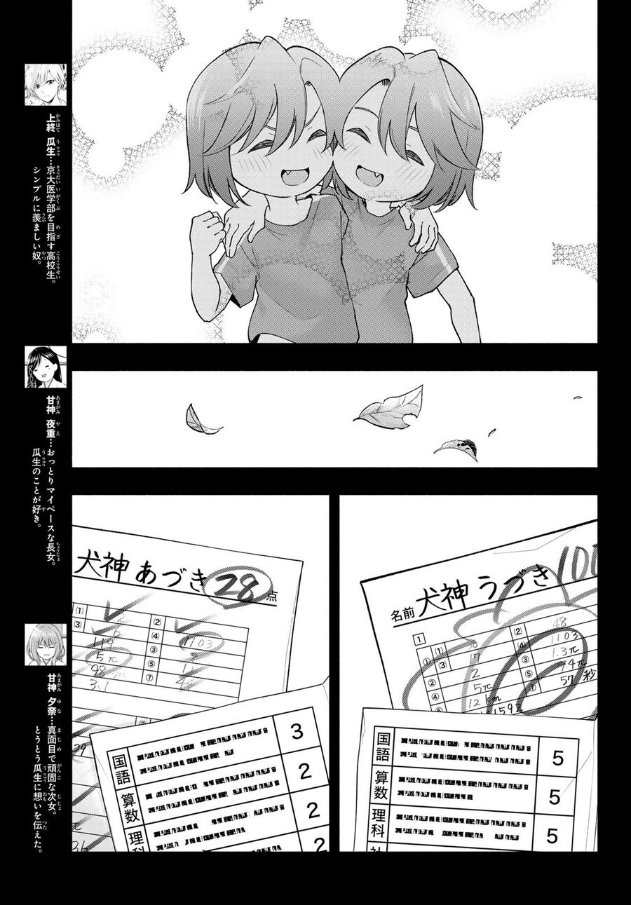 Kết Duyên Nhà Kamigami Chapter 175 - 4