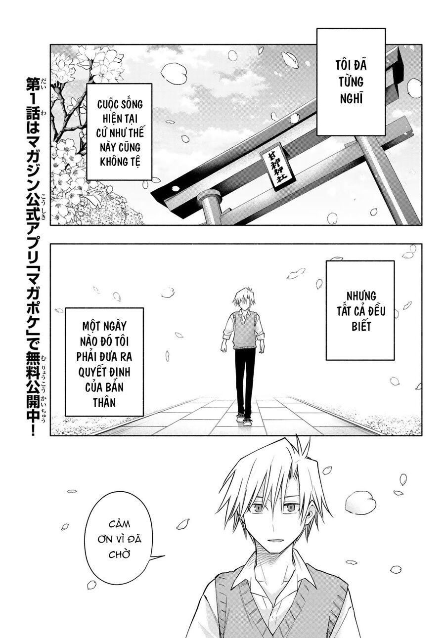 Kết Duyên Nhà Kamigami Chapter 176 - 16