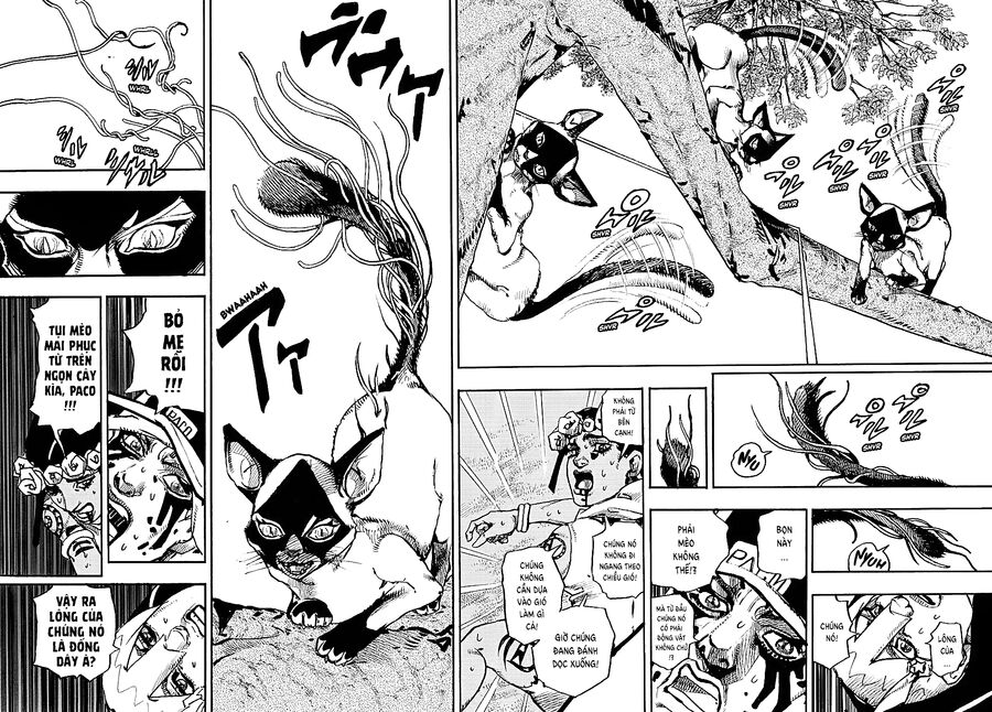 Cuộc Phiêu Lưu Kỳ Bí Của Jojo Phần 9: The Jojolands Chapter 7 - 12