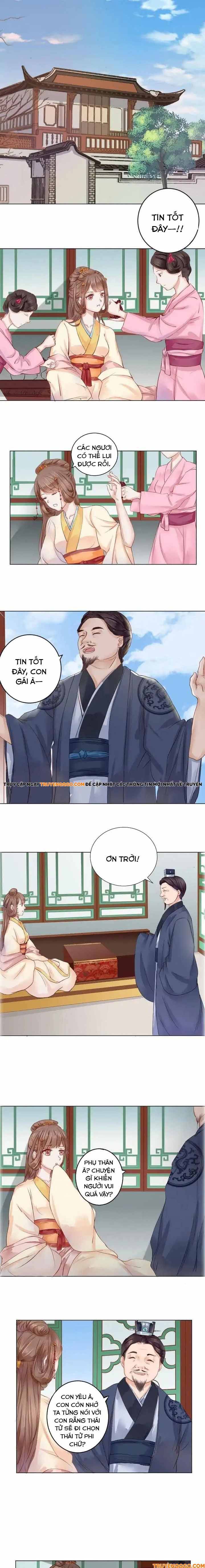 Xuyên Không Trở Thành Thái Tử Phi Uy Vũ Chapter 1 - 2