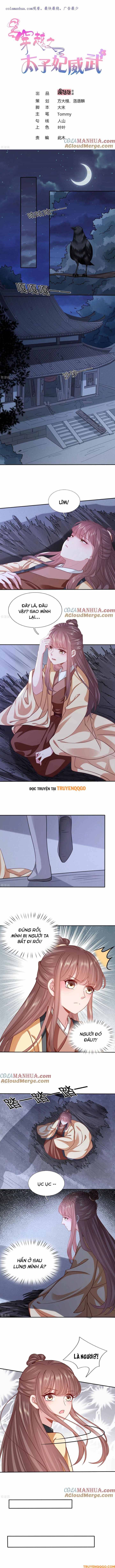 Xuyên Không Trở Thành Thái Tử Phi Uy Vũ Chapter 165 - 2