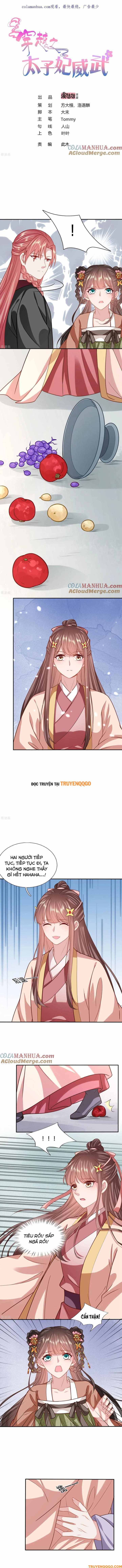 Xuyên Không Trở Thành Thái Tử Phi Uy Vũ Chapter 185 - 2