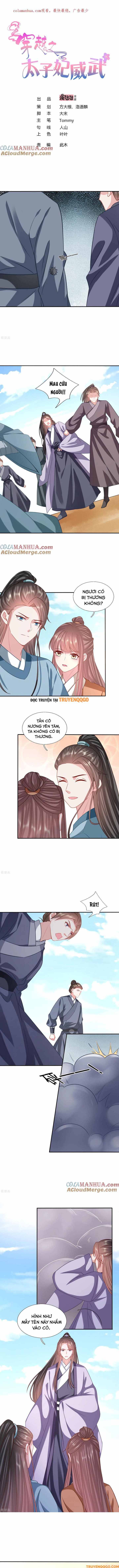 Xuyên Không Trở Thành Thái Tử Phi Uy Vũ Chapter 205 - 2