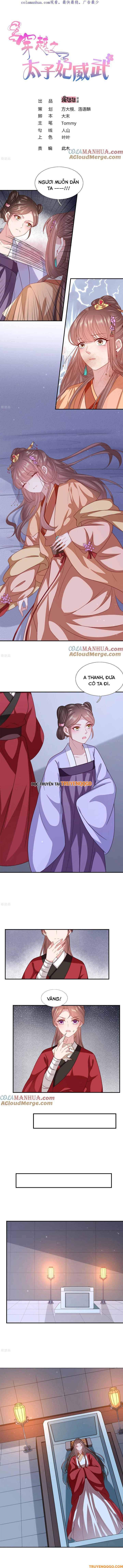 Xuyên Không Trở Thành Thái Tử Phi Uy Vũ Chapter 210 - 2