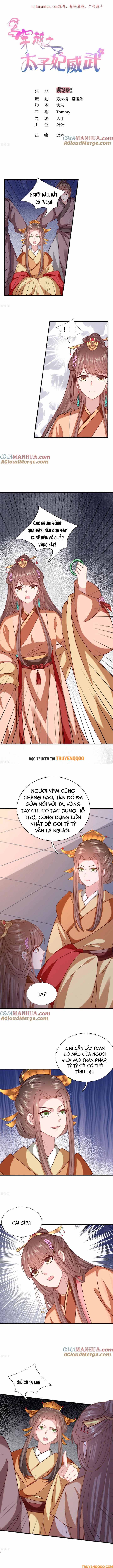 Xuyên Không Trở Thành Thái Tử Phi Uy Vũ Chapter 213 - 2