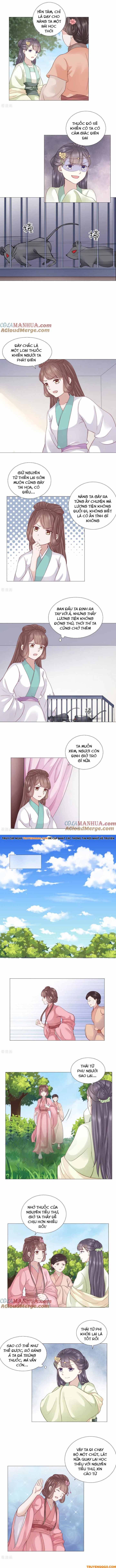 Xuyên Không Trở Thành Thái Tử Phi Uy Vũ Chapter 22 - 5