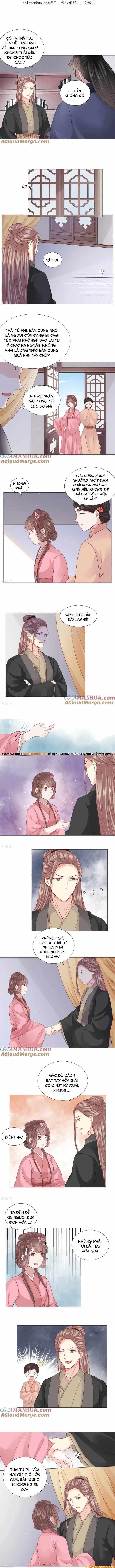 Xuyên Không Trở Thành Thái Tử Phi Uy Vũ Chapter 25 - Trang 2