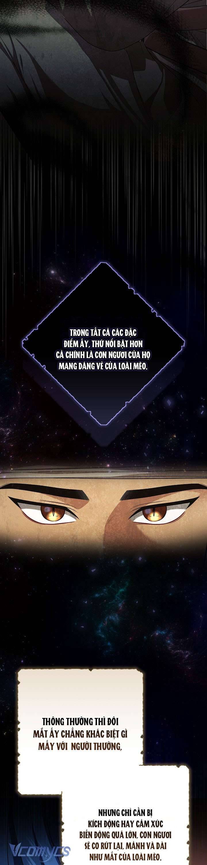 Tôi Đang Xem Một Vở Kịch Chapter 17 - 17