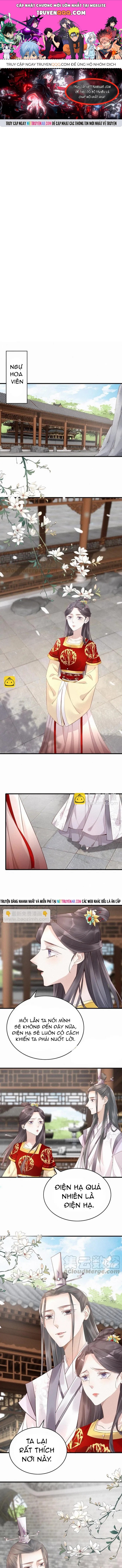 Nhặt Được Một Lão Đại Hắc Hoá Chapter 44 - 1