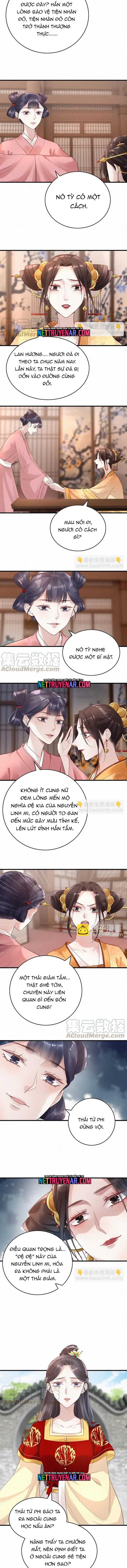 Nhặt Được Một Lão Đại Hắc Hoá Chapter 45 - 3