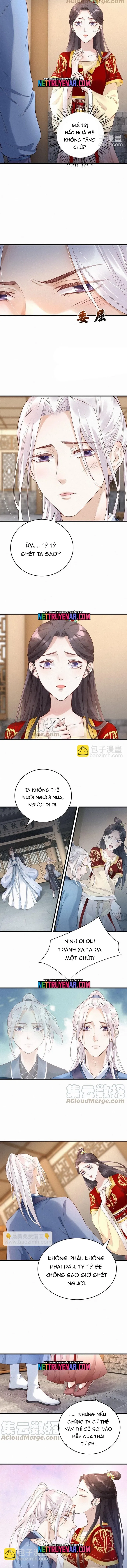 Nhặt Được Một Lão Đại Hắc Hoá Chapter 49 - 3