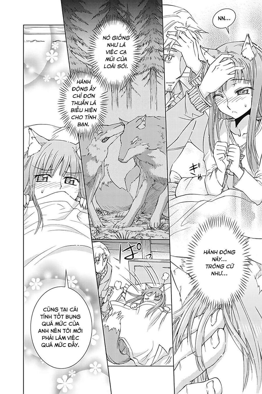 Sói Và Gia Vị Chapter 35.5 - 18