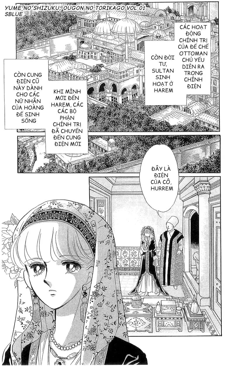 Tàn Dư Mộng Ước, Lồng Chim Hoàng Kim Chapter 3 - 17