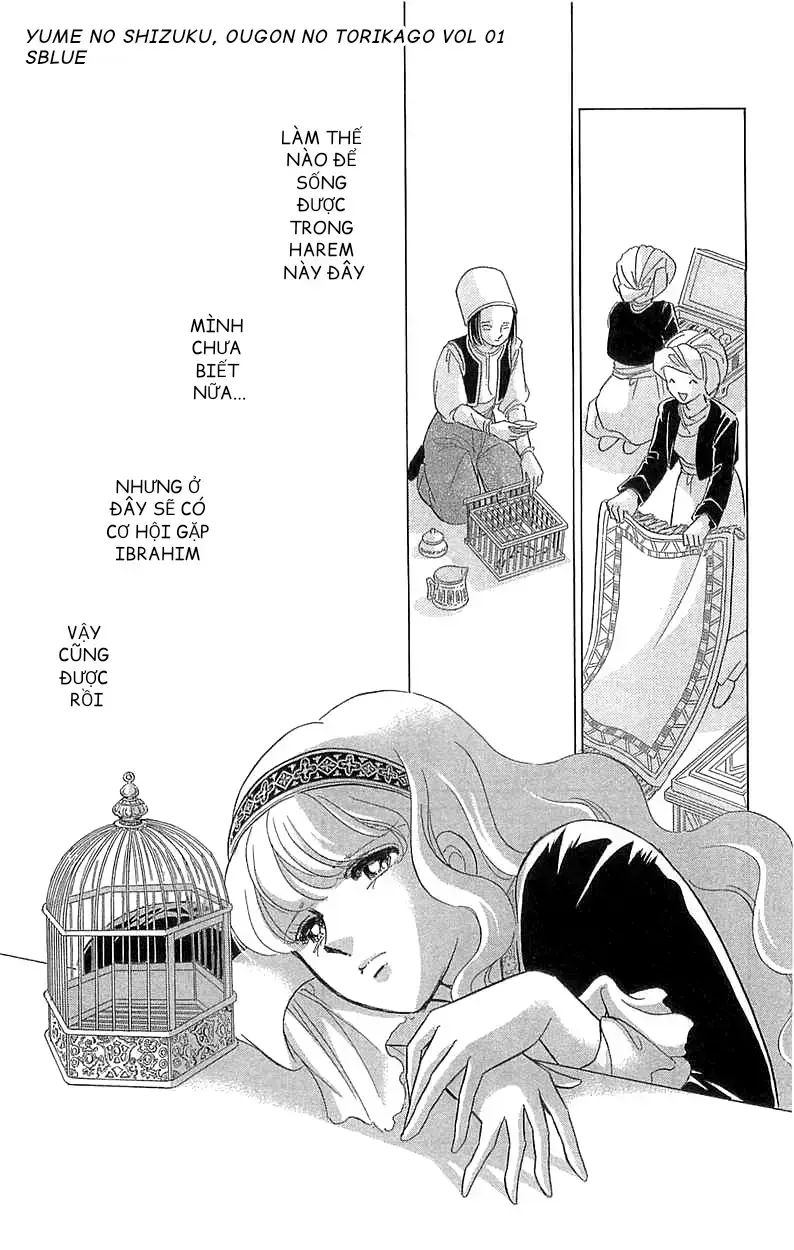 Tàn Dư Mộng Ước, Lồng Chim Hoàng Kim Chapter 3 - 19