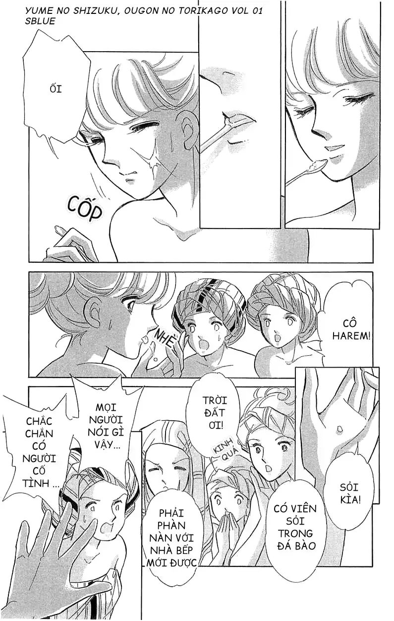 Tàn Dư Mộng Ước, Lồng Chim Hoàng Kim Chapter 3 - 25