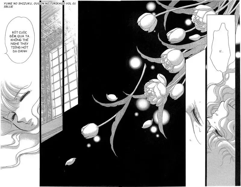 Tàn Dư Mộng Ước, Lồng Chim Hoàng Kim Chapter 5 - 14