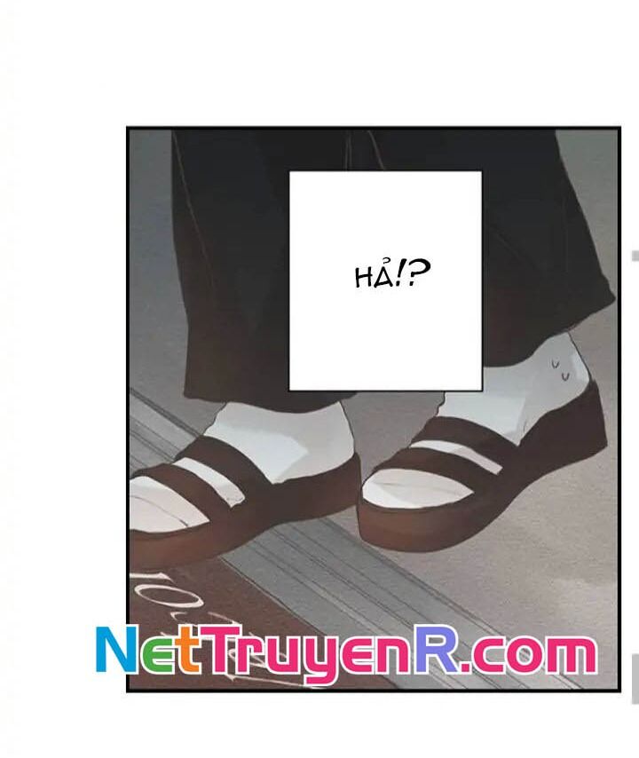 Sau 3 Năm, Tôi Quay Lại Với Người Yêu Cũ Chapter 5 - 12