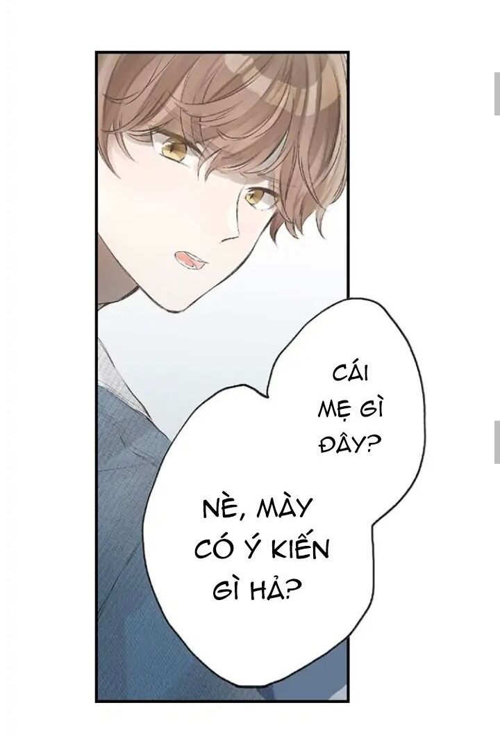 Sau 3 Năm, Tôi Quay Lại Với Người Yêu Cũ Chapter 8 - 15