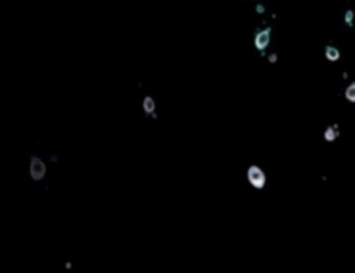 Trò Chơi Tình Ái Chapter 2 - 16