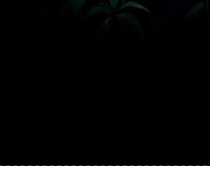 Trò Chơi Tình Ái Chapter 2 - 59