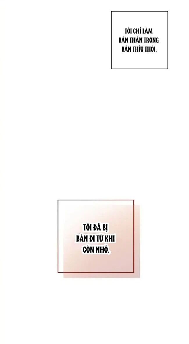 Cuộc Sống Xa Hoa Của Cô Nhân Tình Giả Chapter 1 - 11