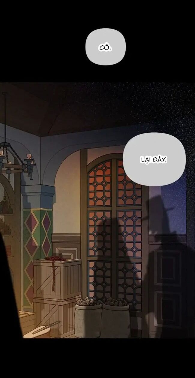 Cuộc Sống Xa Hoa Của Cô Nhân Tình Giả Chapter 1 - 17