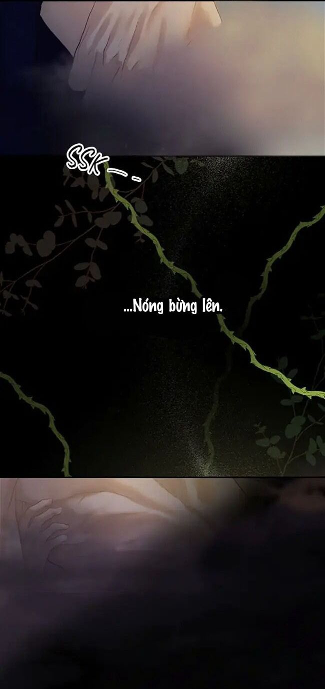 Cuộc Sống Xa Hoa Của Cô Nhân Tình Giả Chapter 1 - 54