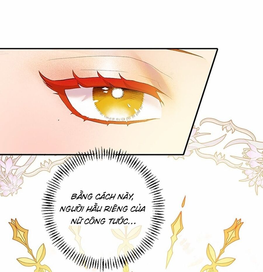 Cuộc Sống Xa Hoa Của Cô Nhân Tình Giả Chapter 12 - 29