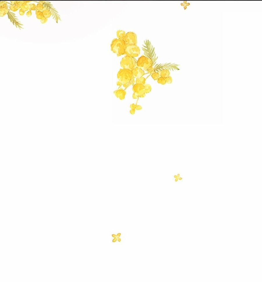 Cuộc Sống Xa Hoa Của Cô Nhân Tình Giả Chapter 17 - 19