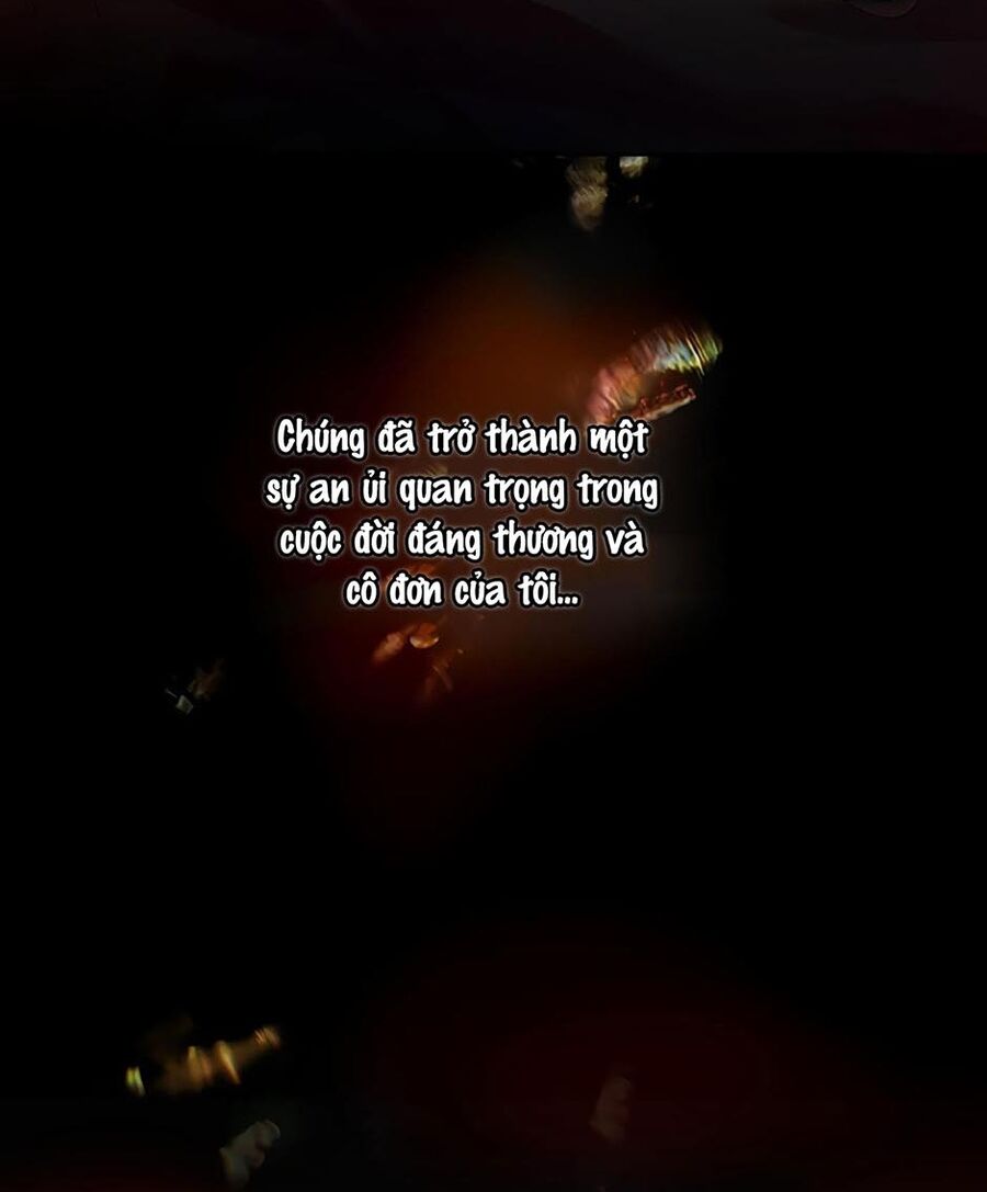 Cuộc Sống Xa Hoa Của Cô Nhân Tình Giả Chapter 17 - 57