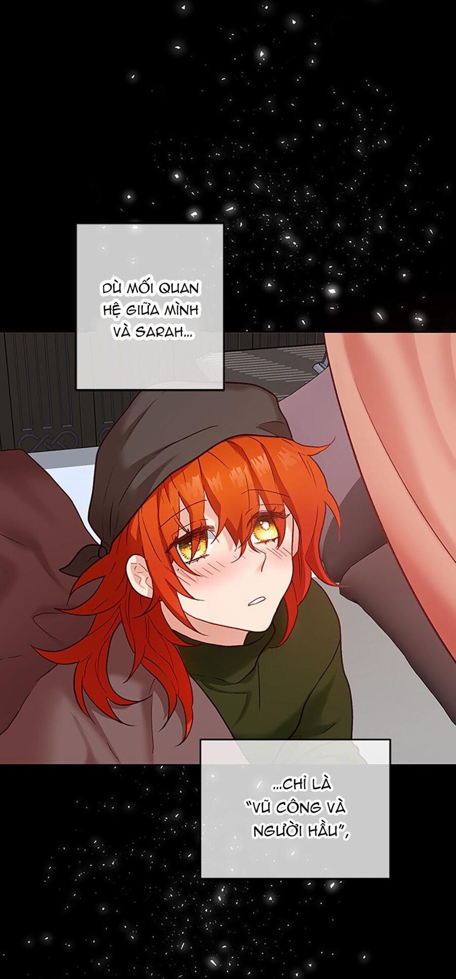 Cuộc Sống Xa Hoa Của Cô Nhân Tình Giả Chapter 19 - 29