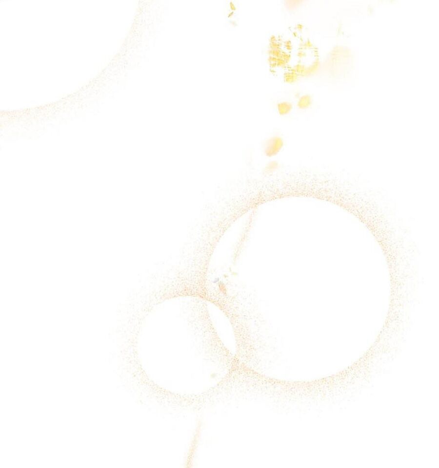 Cuộc Sống Xa Hoa Của Cô Nhân Tình Giả Chapter 23 - 31