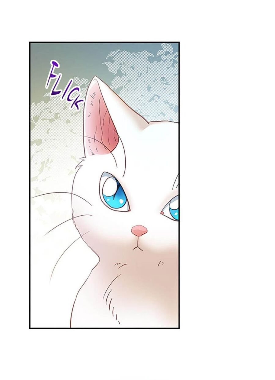 Cuộc Sống Xa Hoa Của Cô Nhân Tình Giả Chapter 23 - 10