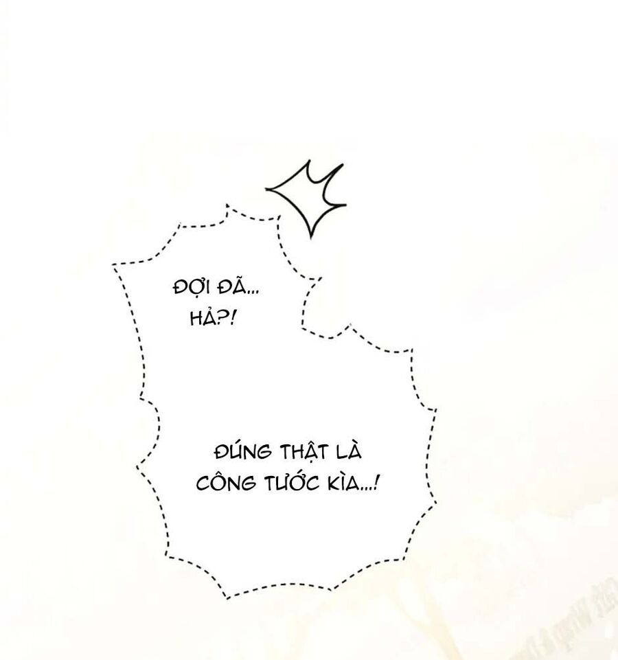 Cuộc Sống Xa Hoa Của Cô Nhân Tình Giả Chapter 26 - 17