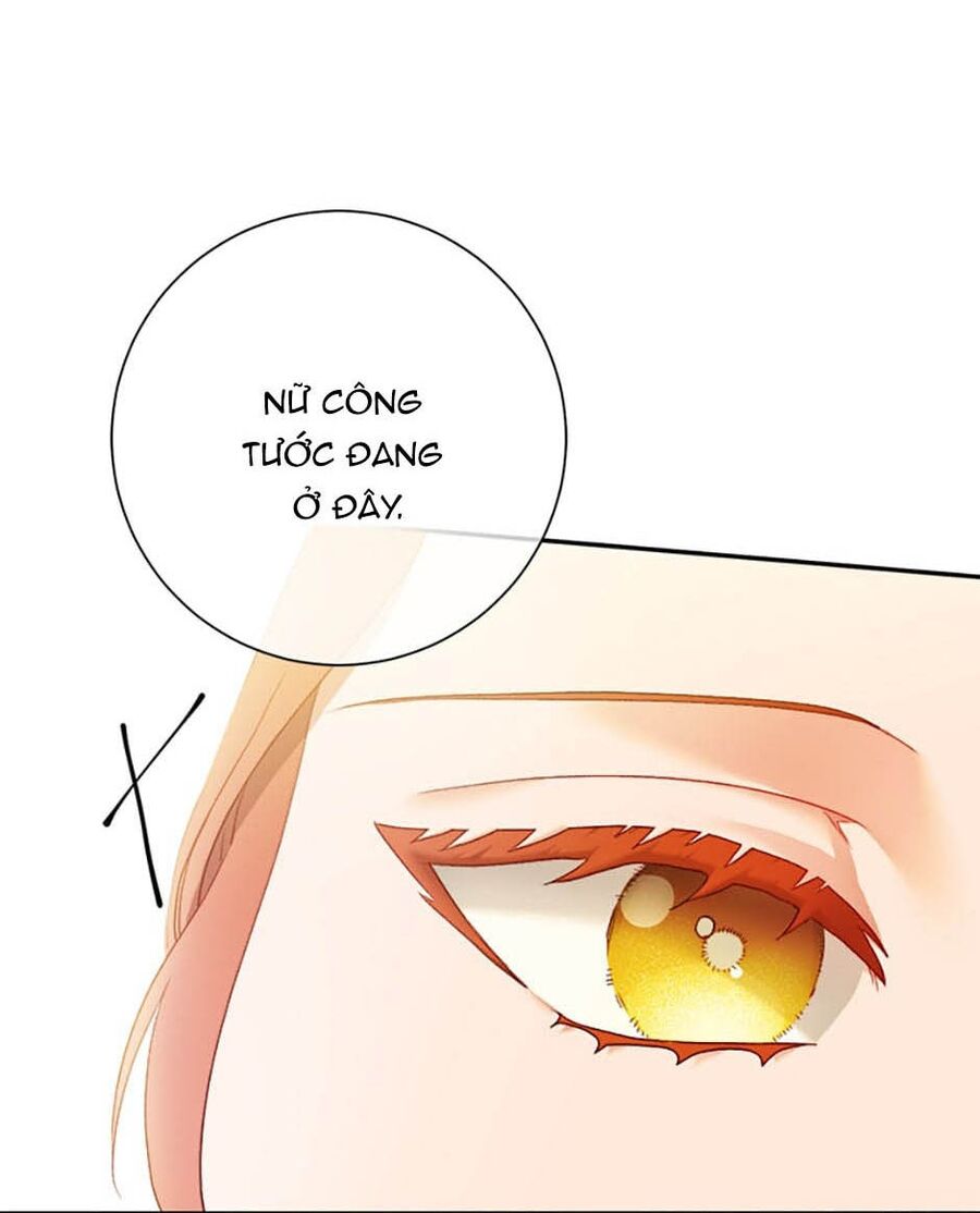 Cuộc Sống Xa Hoa Của Cô Nhân Tình Giả Chapter 27 - 47