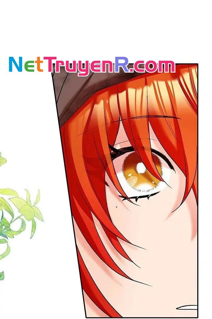 Cuộc Sống Xa Hoa Của Cô Nhân Tình Giả Chapter 3 - 27